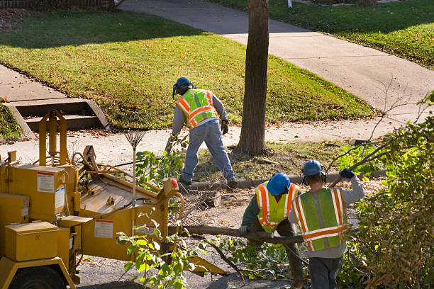 Best Lawn Watering Services  in Annandale, NJ